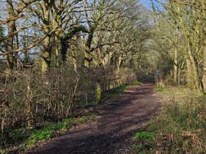 Bridleway